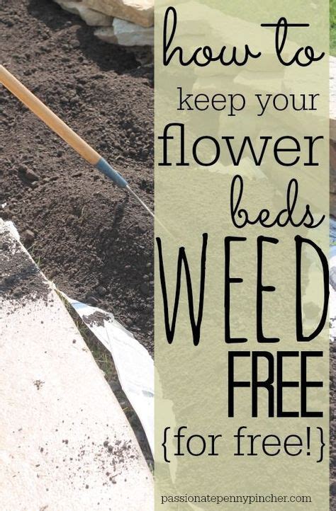 How To Keep Weeds Out Of Flower Beds So Simple Flower Beds Garden