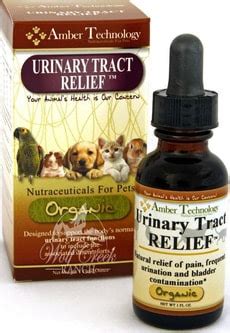Canine UTI Treatment Without Antibiotics - Holistic And Organix Pet Shoppe