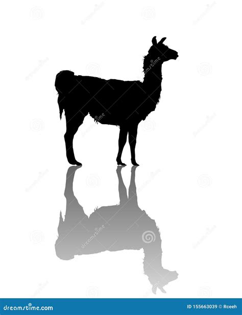 Llama Silhouette Stock Vector Illustration Of Cute 155663039