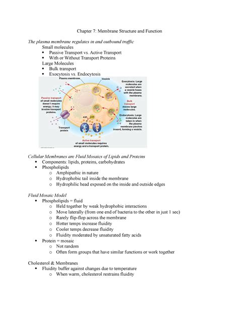 Chapter 7 Membrane Structure and Function - Chapter 7: Membrane