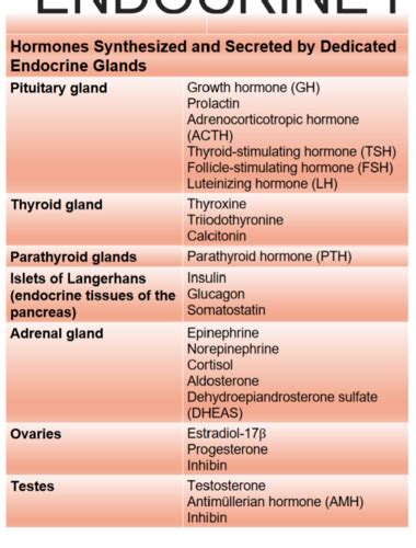 Priniciples Of Endocrinology Flashcards Quizlet