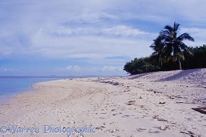 Kalbarri Beach photo WP02329