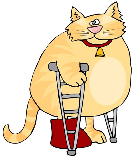 Hurt Foot Clipart 10 Free Cliparts Download Images On Clipground 2024