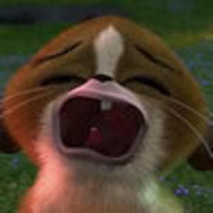 Mort From Madagascar Quotes. QuotesGram