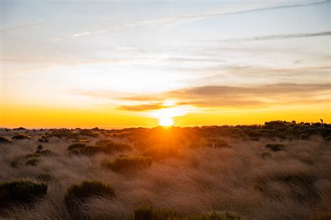 Sunrise over a Field · Free Stock Photo