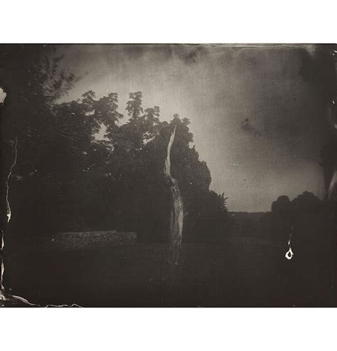 Sally Mann Landscapes