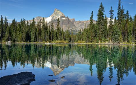 rocky peak   forest wallpaper nature wallpapers