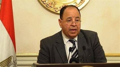 egypts finance minister named     mena north africa