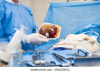 Nude Physicians Images Stock Photos Vectors Shutterstock