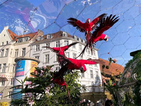 Slow, sustainable and feel-good travel in Germany - Wanderlust