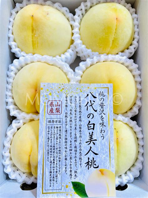 Japanese Yamanashi Shirobijin White Peach Gift Box Kg Momobud