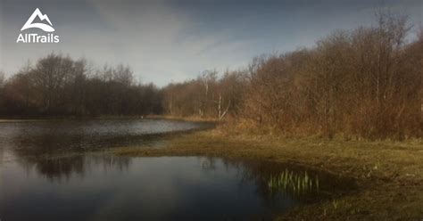 trails  oostvoorne south holland netherlands alltrails