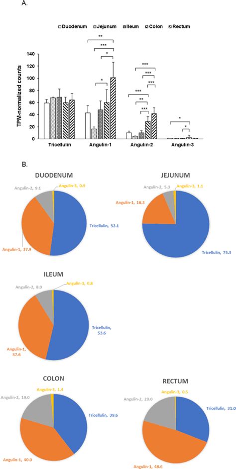 heterogenous gene expression  bicellular  tricellular tight