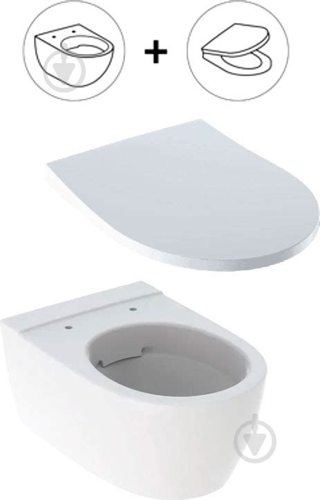 ᐉ Унитаз подвесной Geberit iCon Rimfree 500.784.01.1 с сидением Soft ...