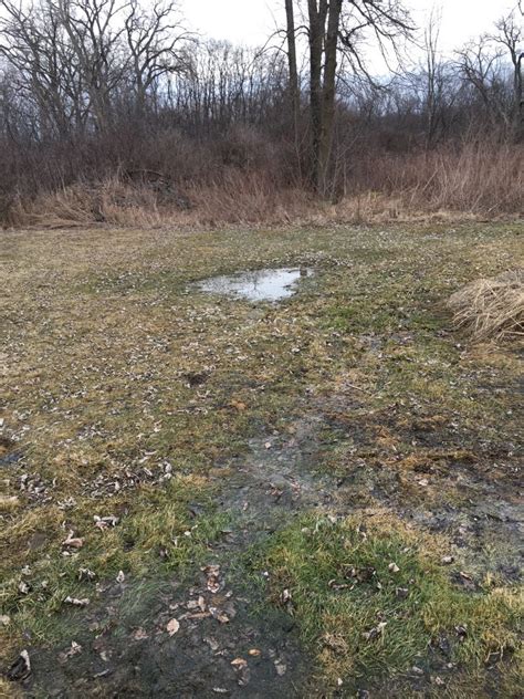 Diy Septic Drain Field Repair Archives Septic Drainer