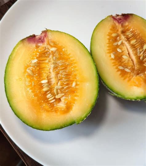 Дыня Канталупа. Купить Семена, Рассаду с Доставкой в СПБ. Отправка по ...