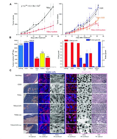 In Vivo Study Of Tumor Growth In Nude Mice HCT Xenografts A