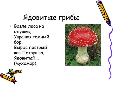 Ядовитые грибы и ягоды - презентация онлайн