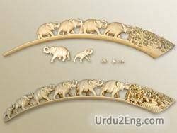 ivory Urdu Meanings