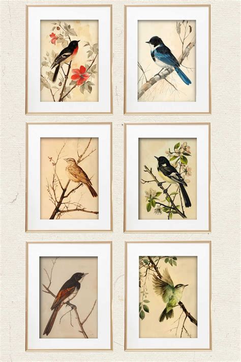 vintage bird wall art printables  printable wall art bird wall