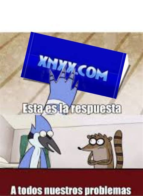 Esta Es La Respuesta Rigby En Im Genes Graciosas Memes