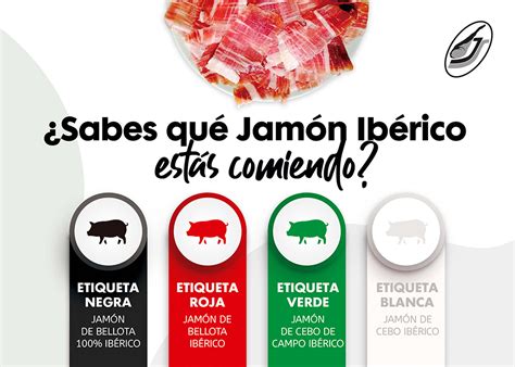 Como Elegir El Mejor Jamón Ibérico Jamones Sánchez