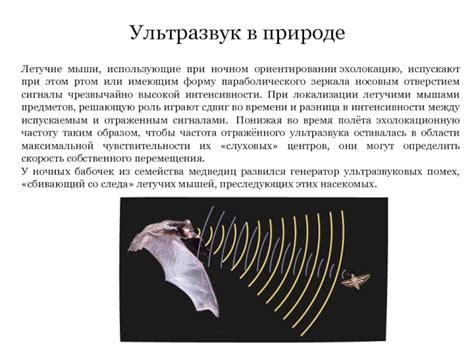Ультразвук в природе