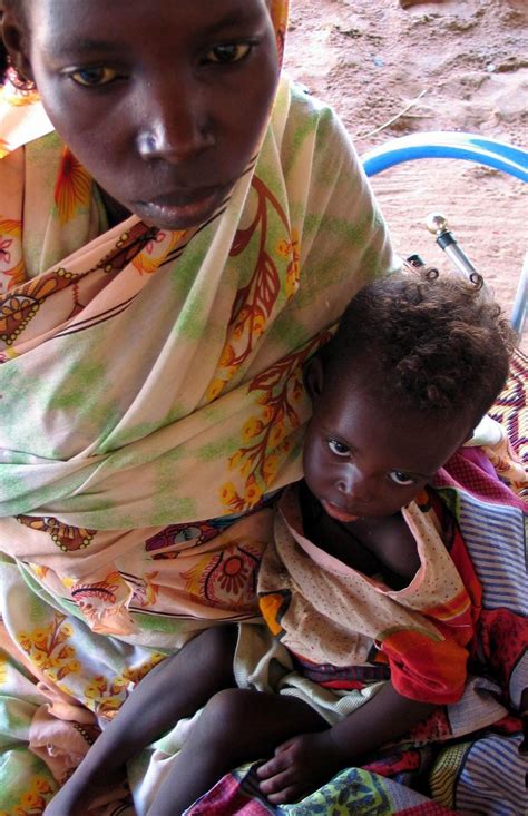 La musica scala le vette trentine - il Giornale