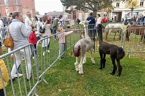 Une Ferme S Installe Au Coeur Du Bourg De Bacqueville En Caux Lundi