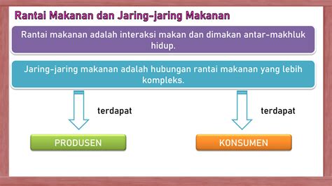 SOLUTION Ekosistem Rantai Makanan Jaring Jaring Makanan Simbiosis