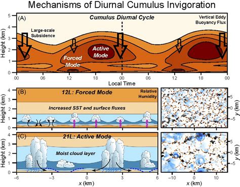 Depiction Of Two Distinct Diurnal Covective Cloud Forcing Mechanisms