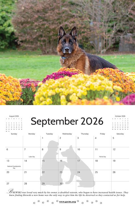 2026 GSRNE Calendar - German Shepherd Rescue of New England