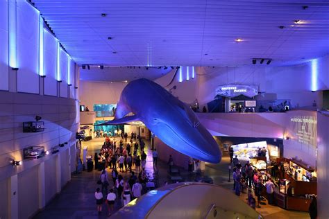 Aquarium of the Pacific | Events | Archived: Night Dive