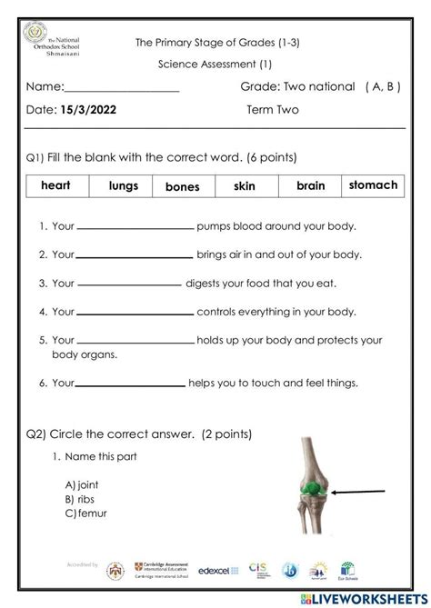 Science Grade 2 Assessment Worksheet Live Worksheets Worksheets Library