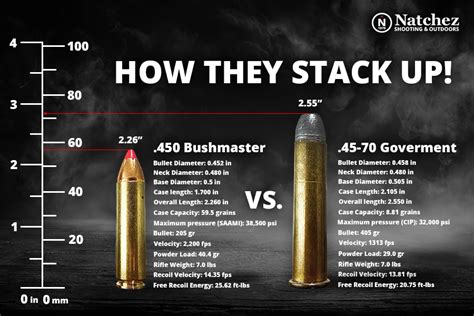 45 70 Ammo Vs 450 Bushmaster Ammo Ultimate Comparison