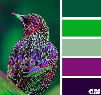 Roxo E Verde Da Que Cor - Paleta de cores: verde e roxo