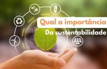 Qual a Importância do Meio-Ambiente? 5 Razões Para Preservar