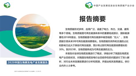 2020中国生物质发电产业发展报告 中国产业发展促进会生物质能产业分会