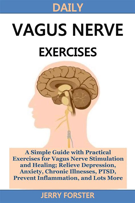 DAILY VAGUS NERVE EXERCISES A Simple Guide With Practical Exercises