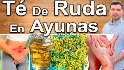 Té De Ruda Para Qué Sirve Beneficios De La Ruda Para Tu Salud Y