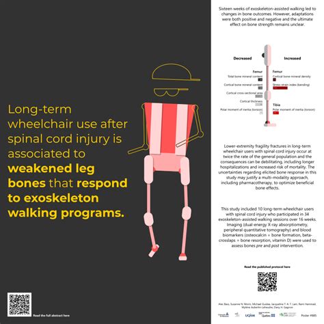 PDF Effects Of An Exoskeleton Assisted Walking Program On Bone