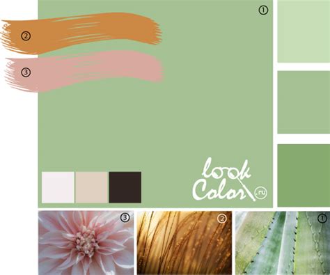 Светло-зеленый цвет и его сочетание | LOOKCOLOR