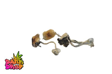Magic Mushrooms Jedi Mind Fuck Dank Drop