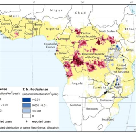 Geographical Distribution Of Human African Trypanosomiasis The