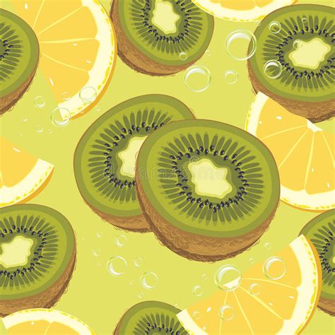 Kiwi Fruit Stock Vector Illustration Of Vitamin Plant 8286783