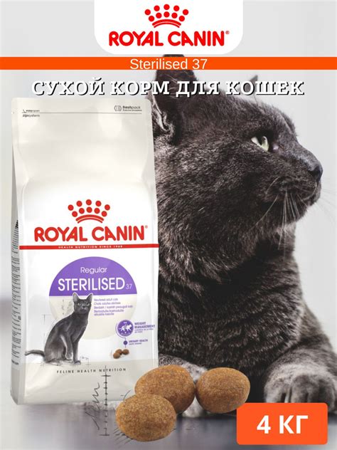 Сухой корм для кошек Royal Canin Sterilised 37 4кг - купить с доставкой ...