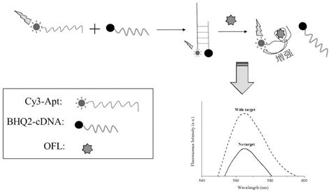 Method For High Sensitivity Detection Of Ofloxacin Based On Nucleic Acid Aptamer Sensor Eureka