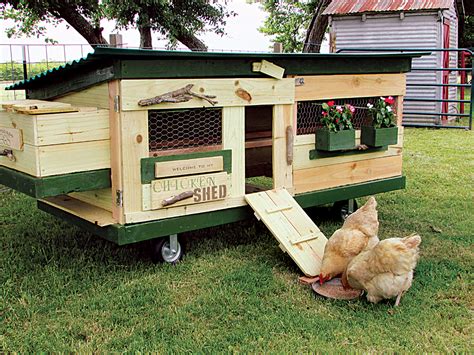 DIY Chicken Tractor Plan Backyard Poultry