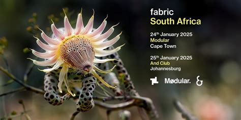 Fabric South Africa Cape Town Tickets Am Freitag 24 Jan Fabric