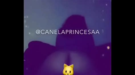 Latina Ass Shake Canelaprincesa XVIDEOS